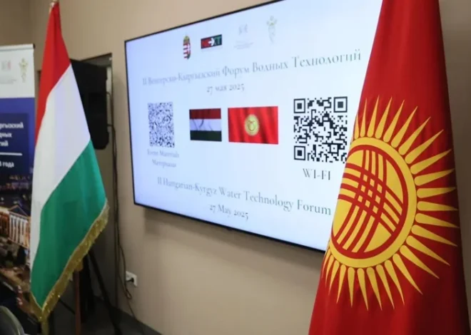Венгерский бизнес готов сотрудничать с Кыргызстаном в строительстве ГЭС