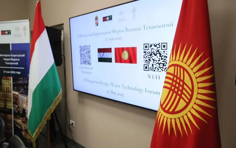 Венгерский бизнес готов сотрудничать с Кыргызстаном в строительстве ГЭС