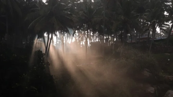 Пыль из Сахары ухудшила качество воздуха в Европе и на Карибах