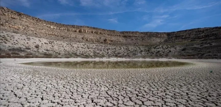 Страны Тихого океана призвали изменить мировую торговлю для борьбы с климатом