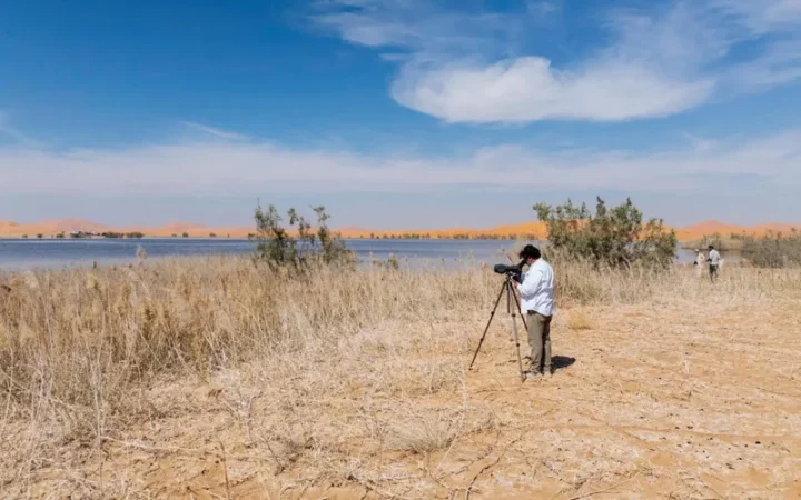 Саудовская Аравия запускает экспедицию для изучения экосистем страны