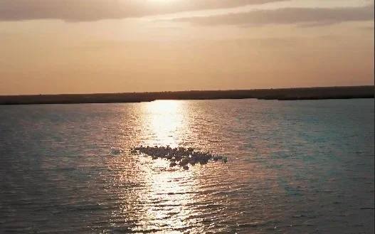 Объем воды в Северном Арале достиг уровня, запланированного на 2029 год