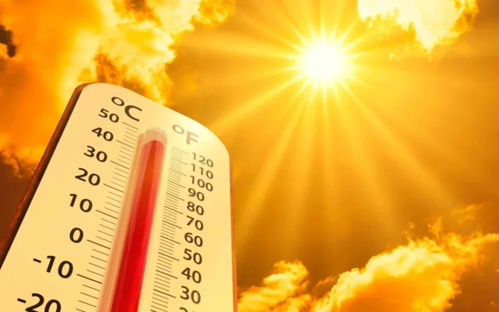 Исследование: число жарких дней в столицах мира выросло на четверть
