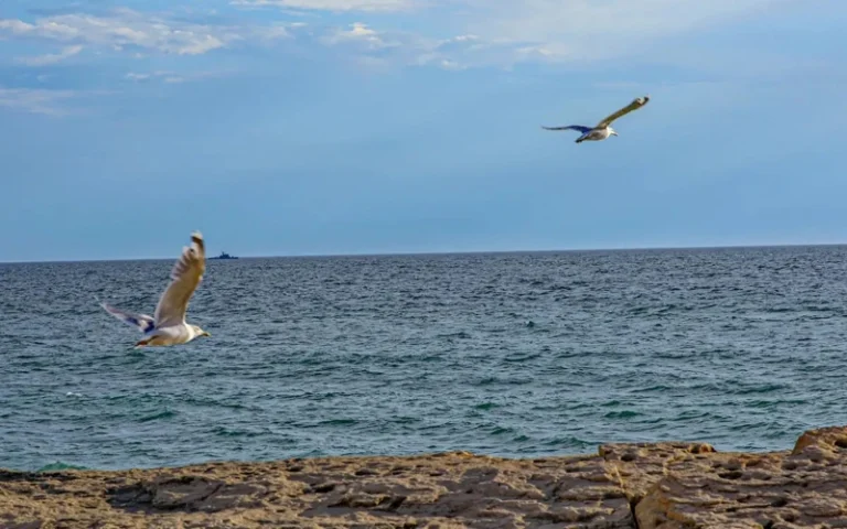 Иран и Казахстан укрепляют сотрудничество для сохранения Каспия и стабильности региона
