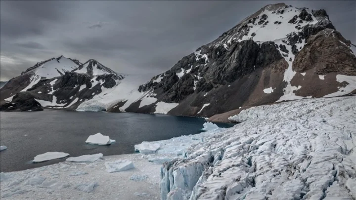Арктика: Ускоренное потепление угрожает тюленям и экосистеме региона