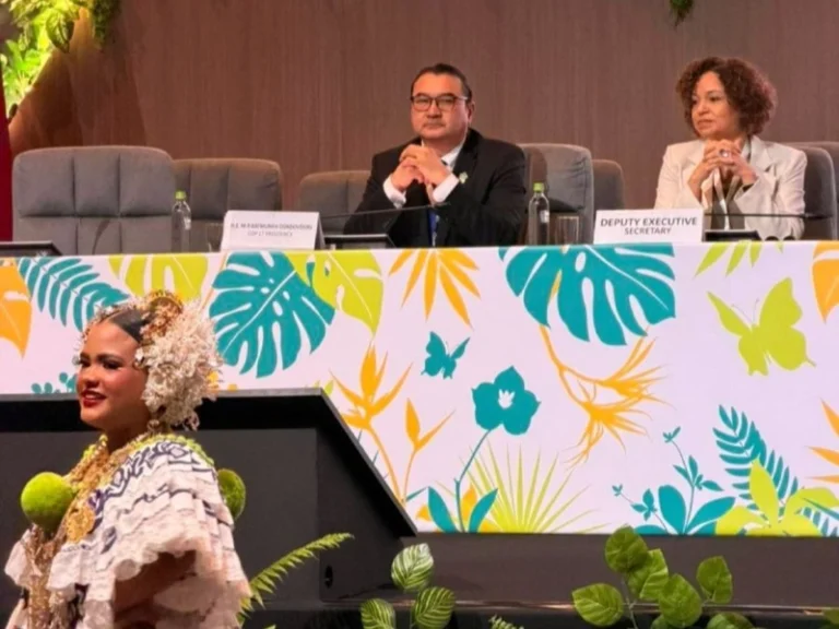 Монголия готовится к COP17: Глобальные усилия против опустынивания и деградации земель