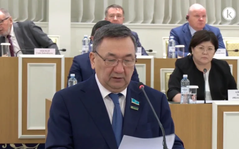 Депутат мажилиса: Конституционная реформа формирует основу справедливого общества