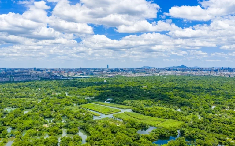 Китайский Ханчжоу: глобальный лидер в управлении отходами – урок для ЦА