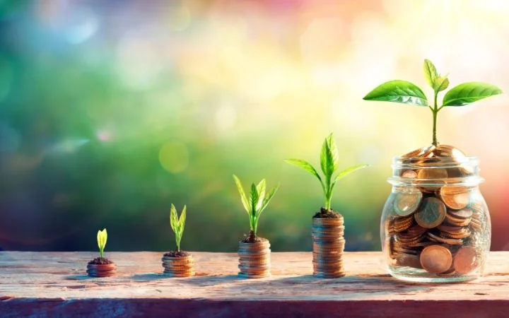 Египет активно развивает биогазовые технологии для зеленой экономики