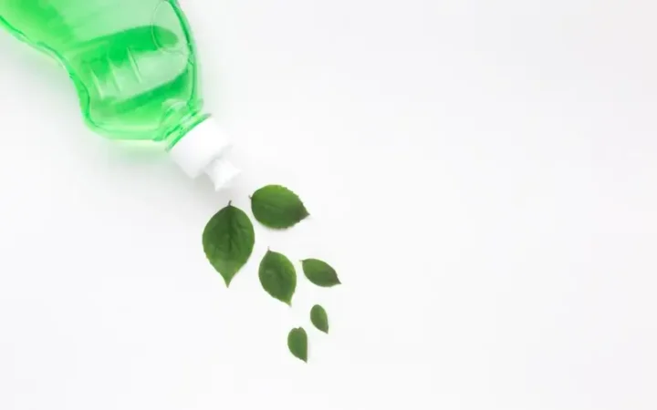 Чили усиливает борьбу с пластиком: новые правила для торговли и общепита