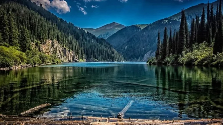 Полмиллиона туристов посетили Алматинскую область за девять месяцев 2025 года