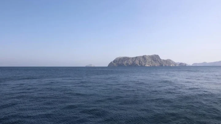 Трамп заявил о продолжении блокады Ирана и возможности силового сценария