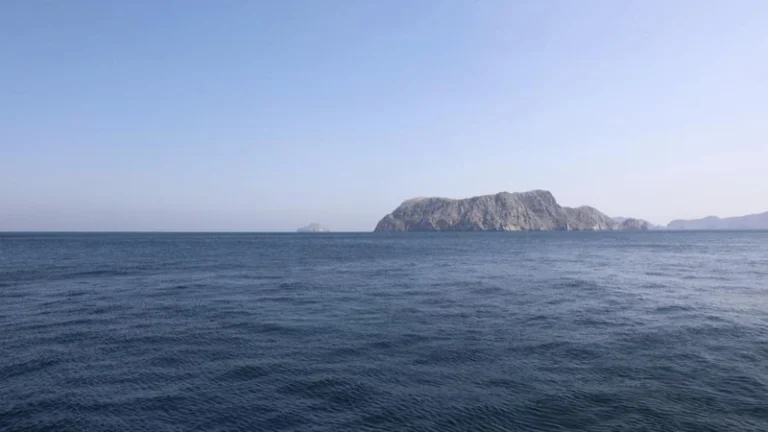 Трамп заявил о продолжении блокады Ирана и возможности силового сценария