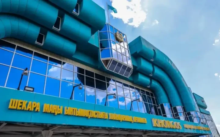 Развитие «Хоргоса»: сенатор предложил создать консульство и новые дороги